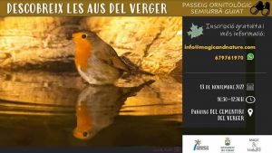 PASSEIG ORNITOLÒGIC. DESCOBREIX LES AUS DEL VERGER