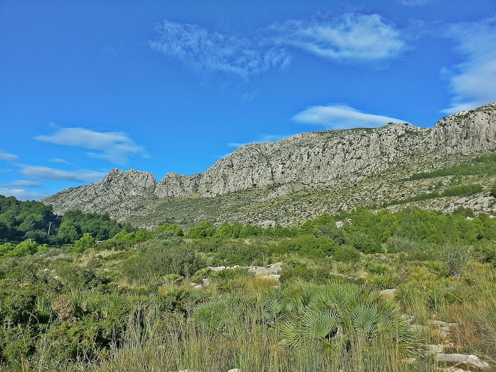 Serra de Segària