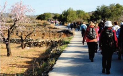 camino-de-santiago-400x250